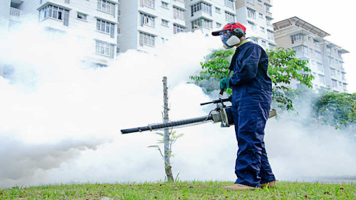 Comparing Mosquito Fogging to Other Control Methods: Which Works Best?