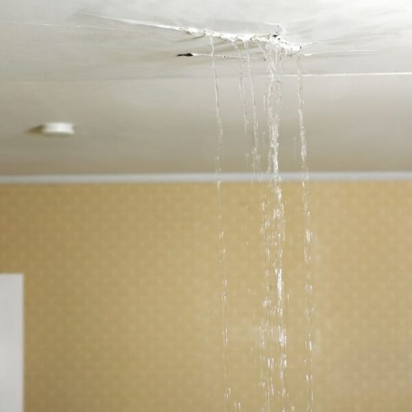 Think Like A Drip To Be A Roof Leak Detective